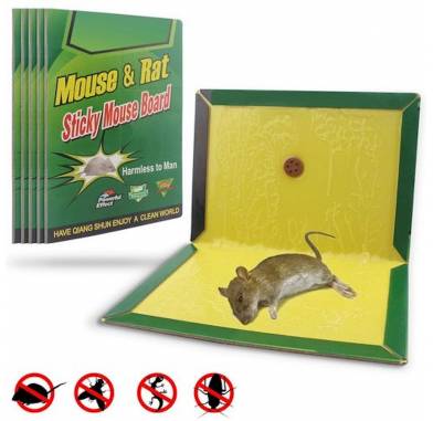 MICKEY CATS Super Glue Rat Board